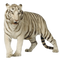 White Tiger