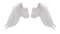 White Wings PNG Clipart