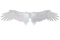 White Wings PNG Free Download