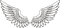 White Wings PNG HD Image