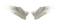 White Wings PNG Image