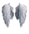 White Wings PNG Pic