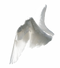 White Wings PNG Picture