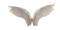 White Wings PNG