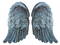 Wings Angel PNG Picture