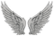 Wings Tattoos PNG