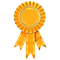 Winner Ribbon PNG Image