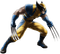 Wolverine Download PNG