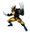 Wolverine Transparent