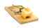 Wooden Mousetrap PNG Pic