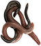 Worms PNG Pic