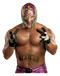 WWE Rey Mysterio PNG File