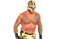 WWE Rey Mysterio PNG HD Image