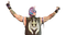 WWE Rey Mysterio PNG Image File