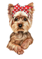 Yorkshire Terrier PNG Clipart