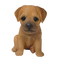 Yorkshire Terrier PNG Picture