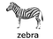 Zebra Transparent